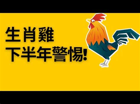 屬雞坐向|【屬雞買房座向】想知道「屬雞買房」最佳坐向和樓層嗎？快進來。